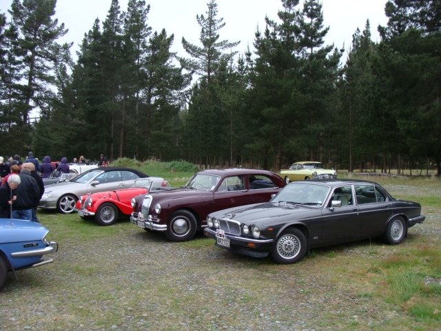 Jaguar, Riley, Morgan.