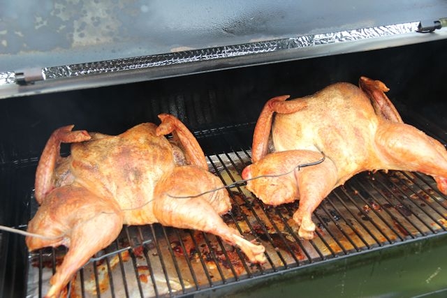 2 pellet turkeys halftime