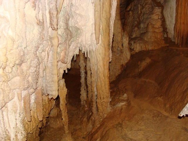 DSC03692 (640x480)