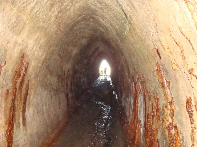 DSC03839 (640x480)