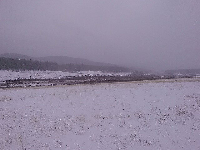 Elgin8