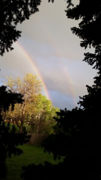 Double rainbow out back