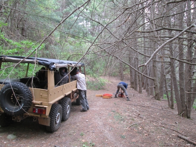 Clearing Trail