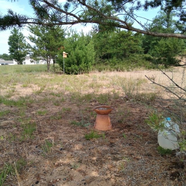 Water Source