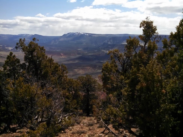 Dinosaur National Park