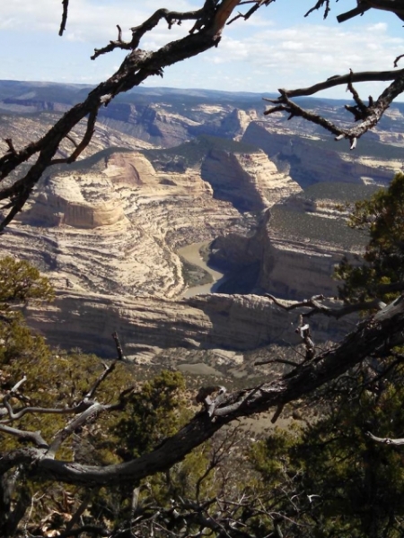 Dinosaur National Park