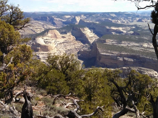 Dinosaur National Park