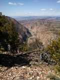 Dinosaur National Park