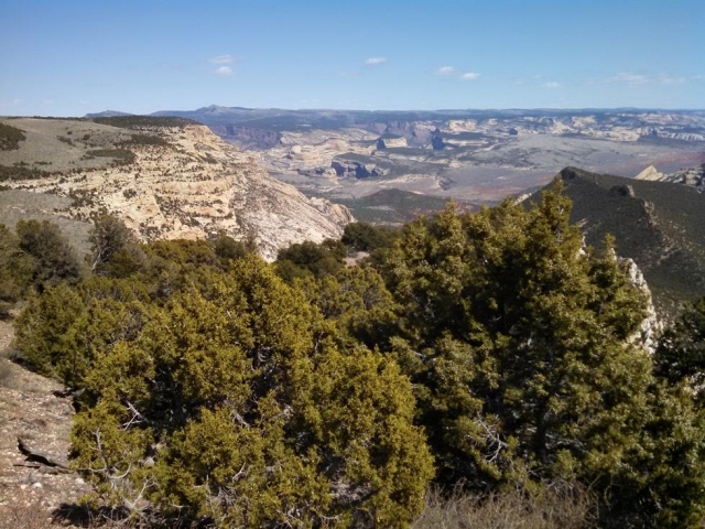 Dinosaur National Park