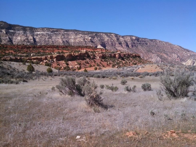 Dinosaur National Park