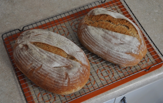 Whole wheat sourdough