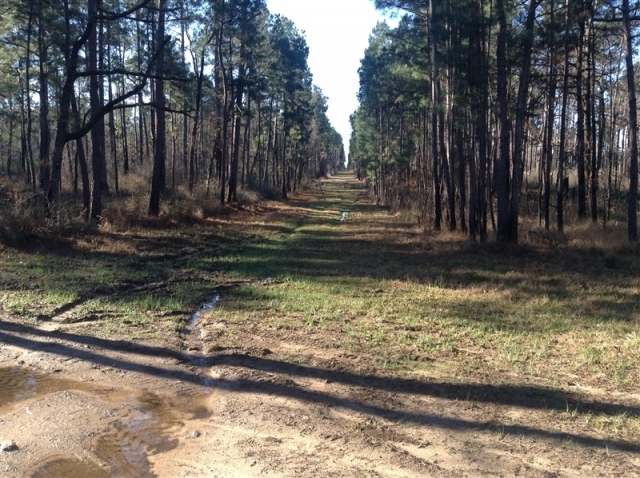 pipeline