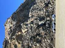 IMG 4464