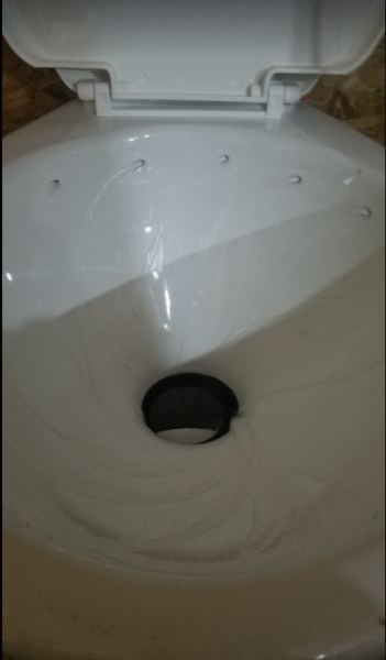 toiletFlushing