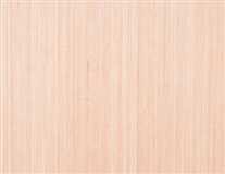 Poplar Plywood 5mm x 4x8 Feet Lowes (216 x 167)