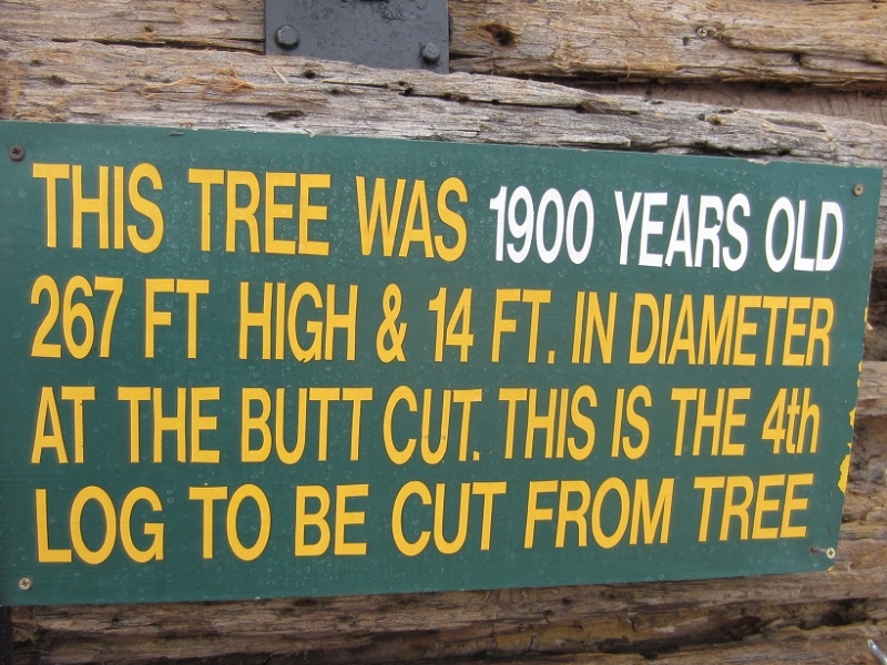 Redwood RV Sign