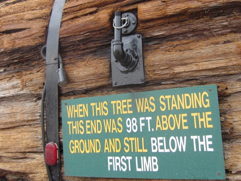 Redwood RV Height Marker