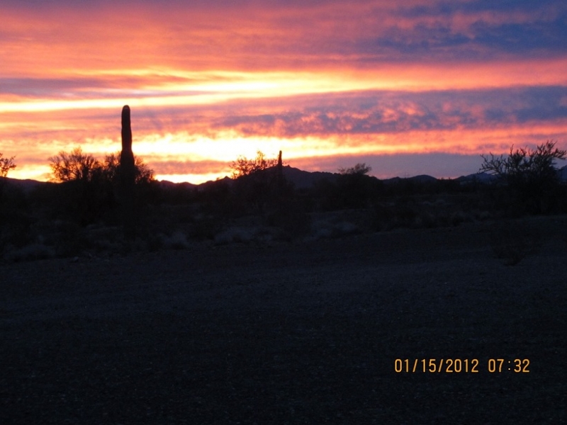 Saguaro Sunset