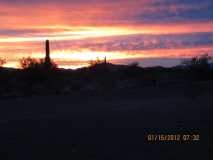 Saguaro Sunset