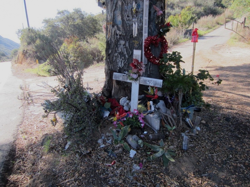 Roadside Memorial