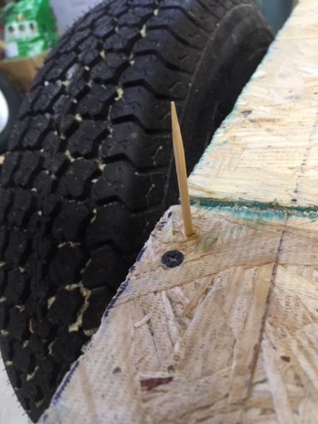 bamboo