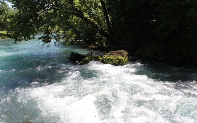IMG 7637