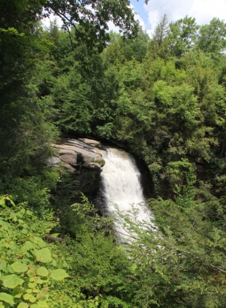 IMG 7800