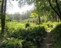 IMG 8778
