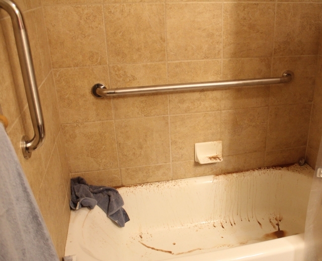IMG 1302
