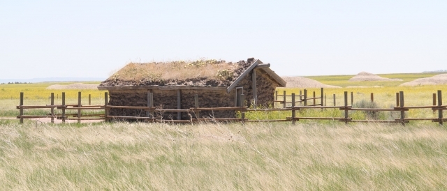 IMG 3536