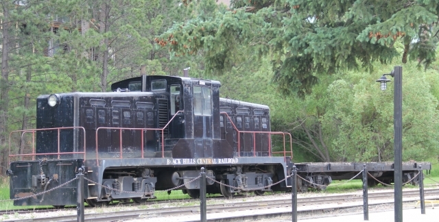 IMG 3995