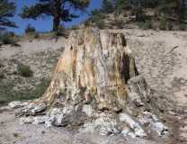 IMG 4081