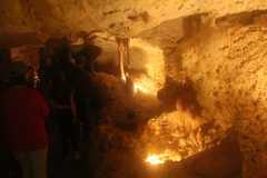 IMG 5517