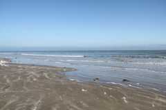 IMG 5598