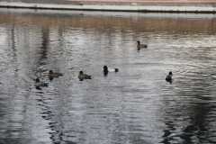IMG 5756