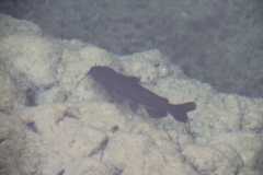 IMG 5758