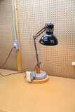 IMG 5795