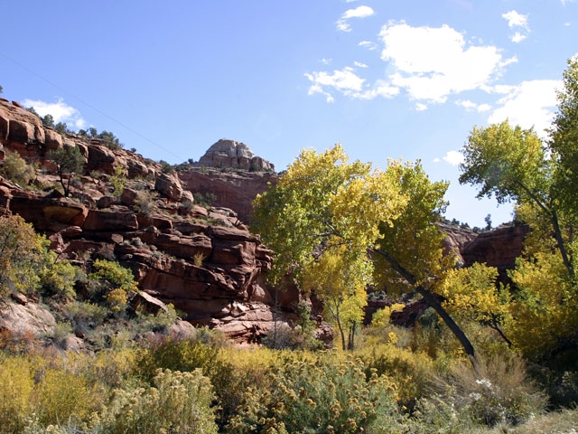 Calf creek area.