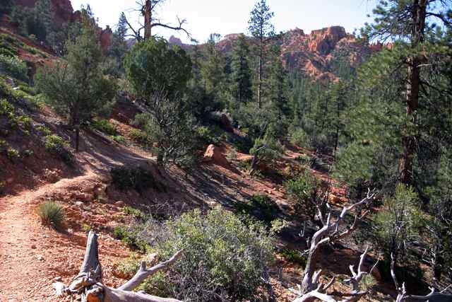 Hiking Pink Cliffs trail