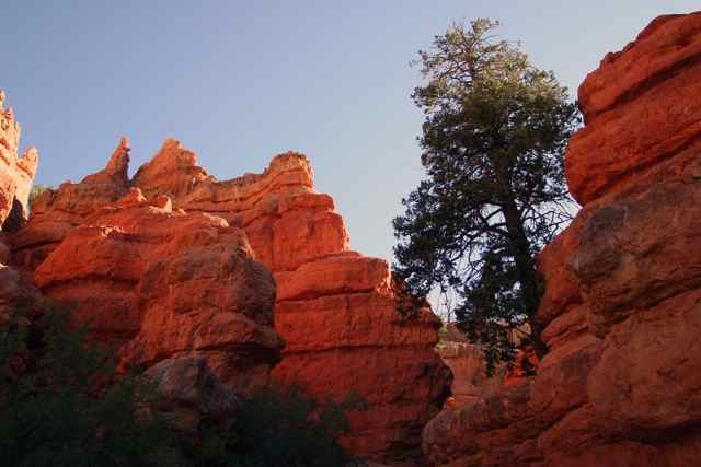 Hiking Pink Cliffs trail