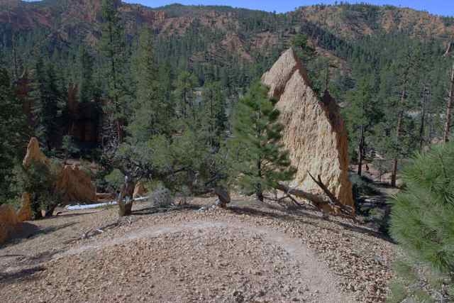 Hiking Pink Cliffs trail