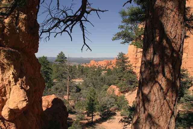 Hiking Pink Cliffs trail