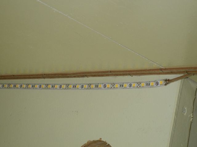 DSCN1335