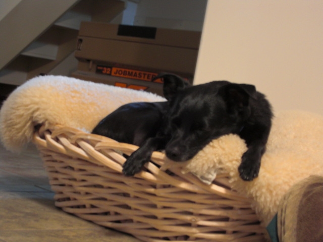 Annie Littlebigdog