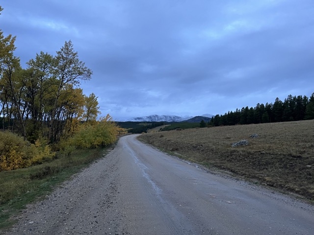 Bighorn Dispersed Road