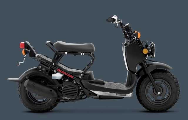 2013 Ruckus 2000x1275 Black 42515B