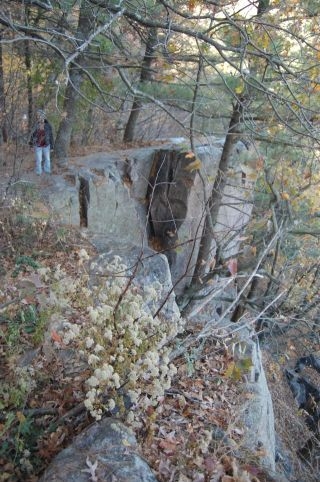 2010