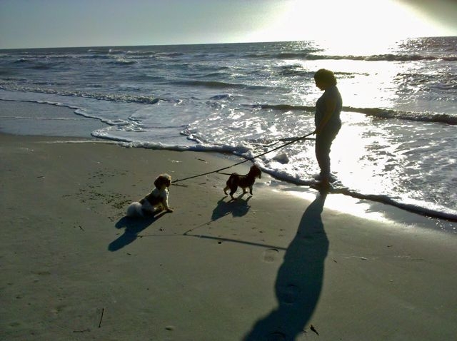 Missy and Wille on the beach at Sunrise