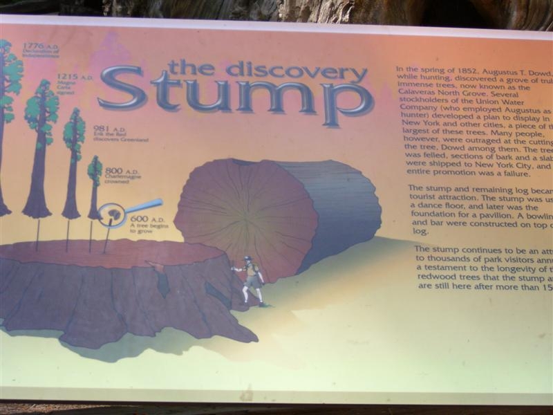 Info on the stump at Calavares Big Trees