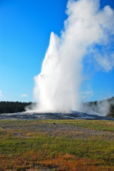 Old Faithful